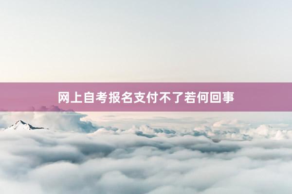 网上自考报名支付不了若何回事